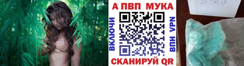 A PVP VHQ  Жердевка 