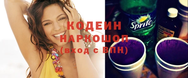 индика Волосово