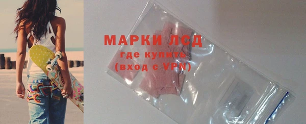 индика Волосово