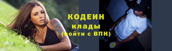 индика Волосово