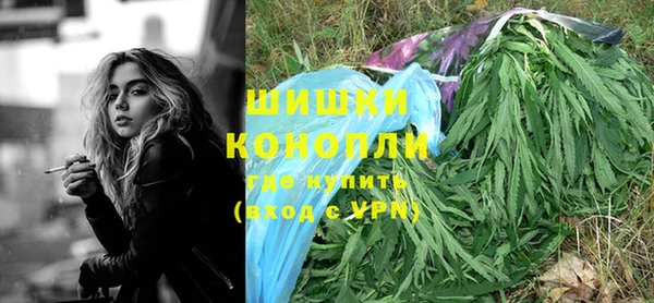 индика Волосово