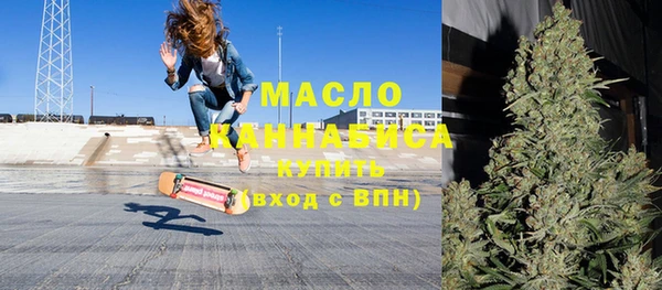 индика Волосово