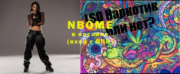 индика Волосово