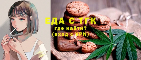 индика Волосово