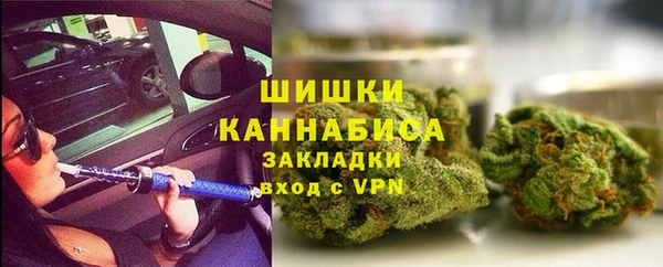 индика Волосово